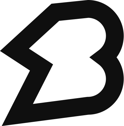 website logo