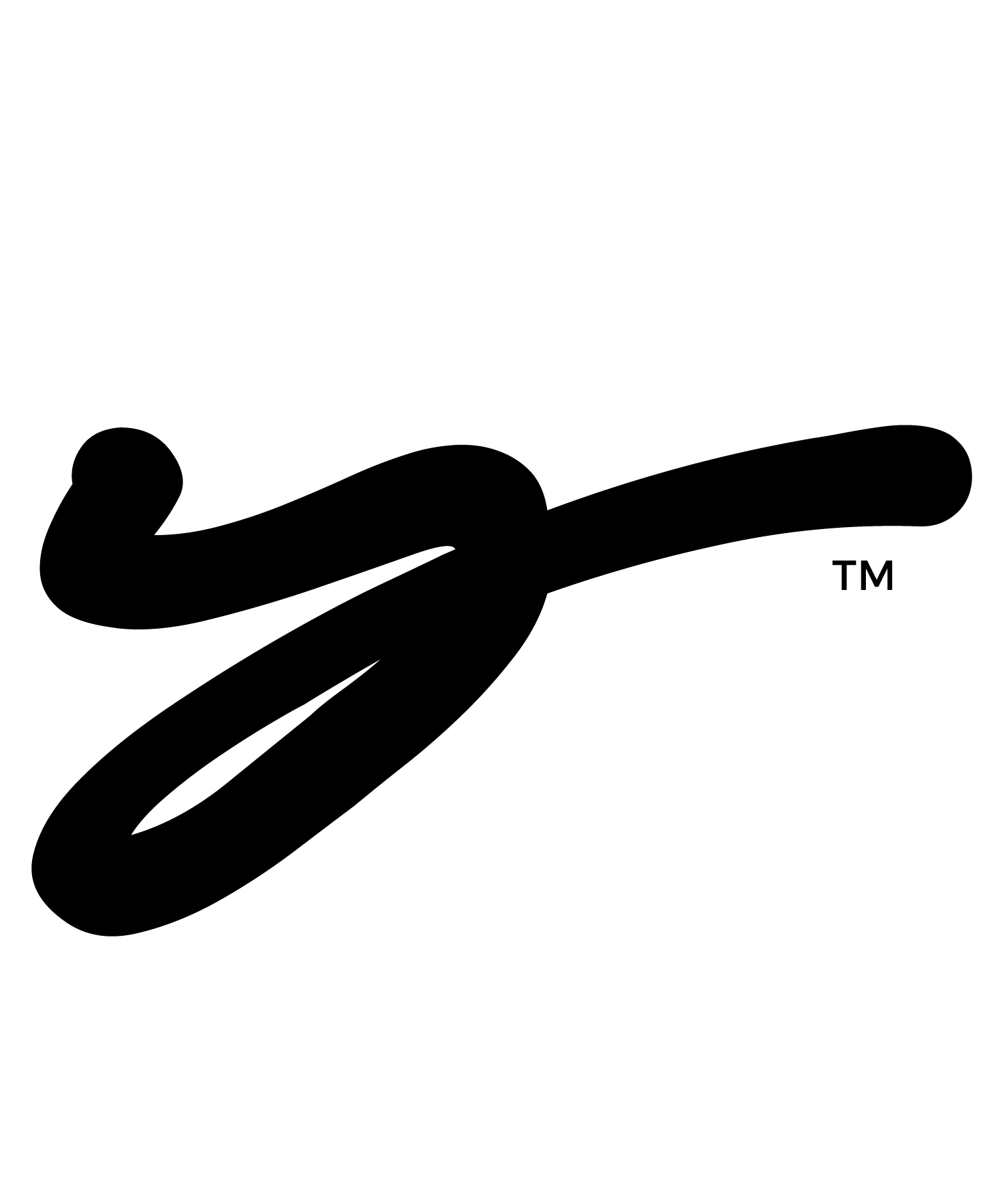 website logo