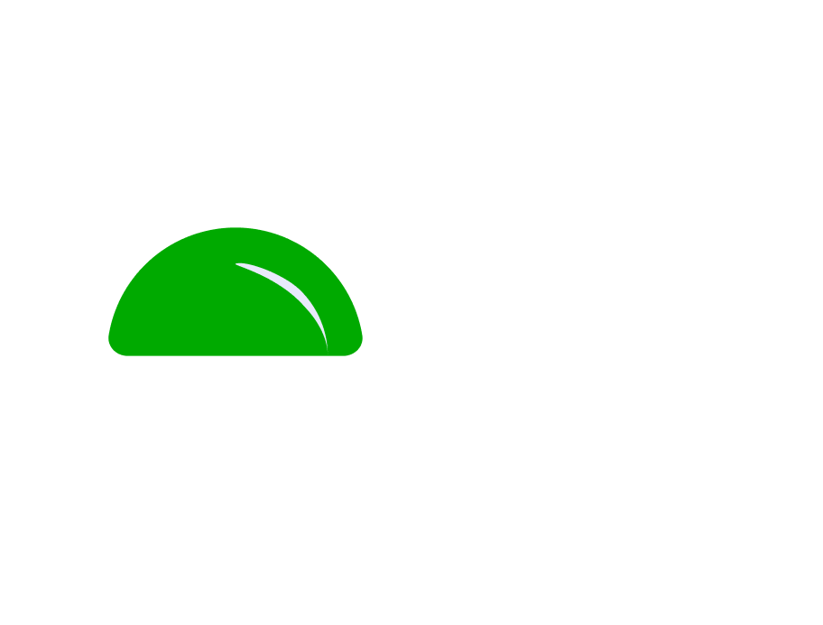 website logo